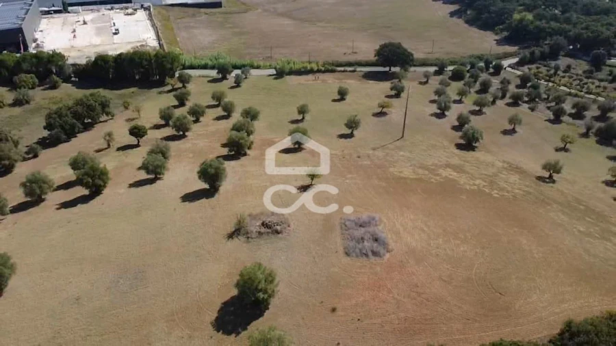 Terreno para Venda em Torres Novas (Santa Maria, Salvador e Santiago) Foto 47
