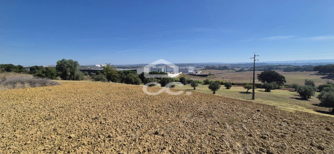Terreno para Venda em Torres Novas (Santa Maria, Salvador e Santiago) Foto 13