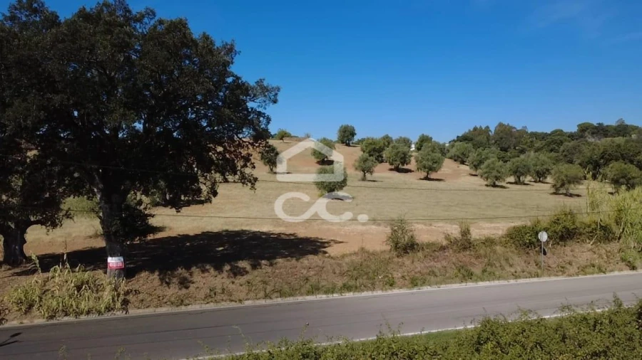 Terreno para Venda em Torres Novas (Santa Maria, Salvador e Santiago) Foto 45