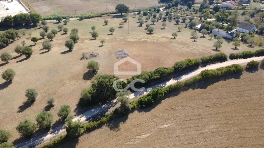 Terreno para Venda em Torres Novas (Santa Maria, Salvador e Santiago) Foto 40