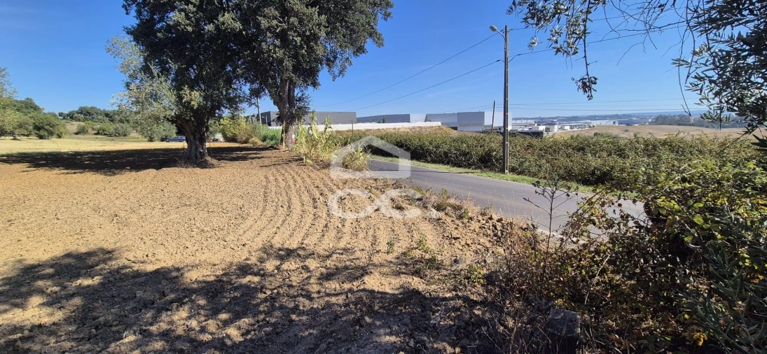 Terreno para Venda em Torres Novas (Santa Maria, Salvador e Santiago) Foto 21