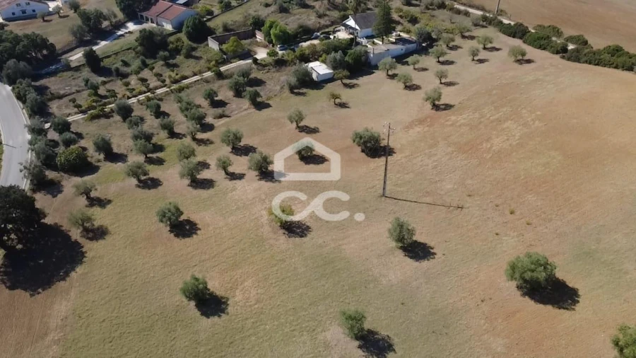 Terreno para Venda em Torres Novas (Santa Maria, Salvador e Santiago) Foto 27