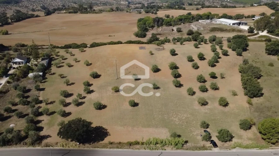 Terreno para Venda em Torres Novas (Santa Maria, Salvador e Santiago) Foto 48