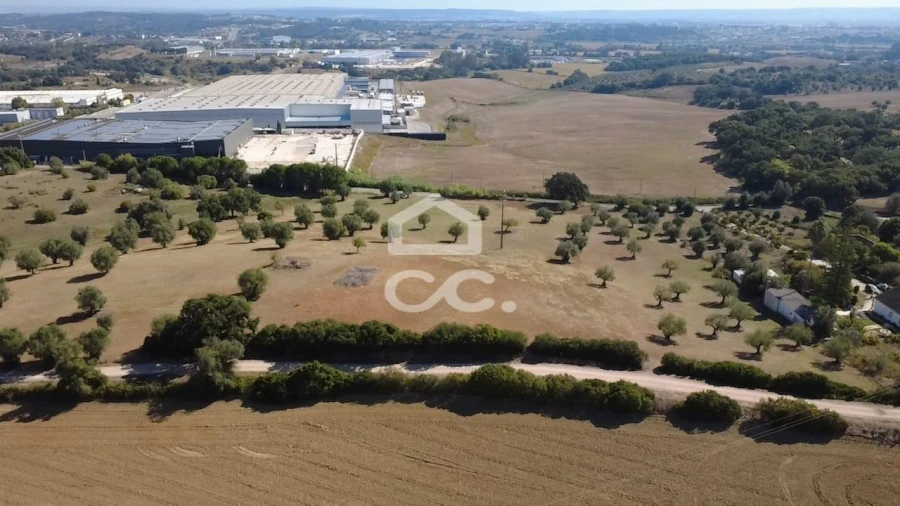 Terreno para Venda em Torres Novas (Santa Maria, Salvador e Santiago) Foto 35