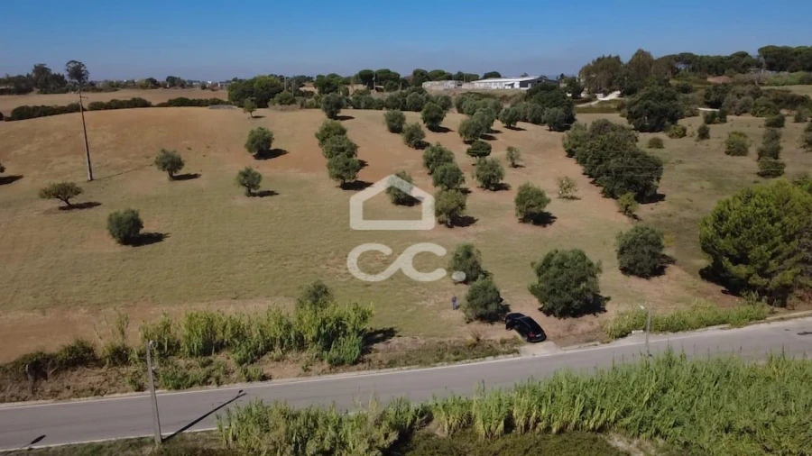 Terreno para Venda em Torres Novas (Santa Maria, Salvador e Santiago) Foto 42