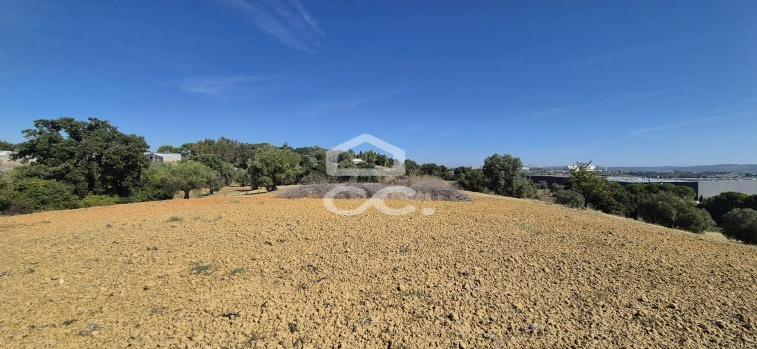Terreno para Venda em Torres Novas (Santa Maria, Salvador e Santiago) Foto 17