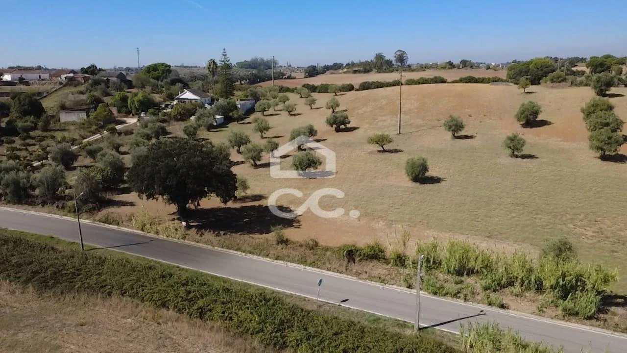 Terreno para Venda em Torres Novas (Santa Maria, Salvador e Santiago) Foto 43