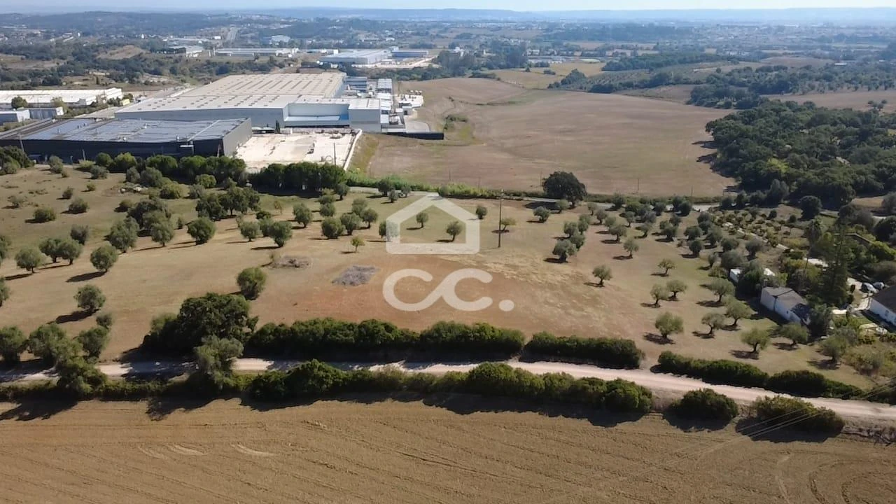 Terreno para Venda em Torres Novas (Santa Maria, Salvador e Santiago) Foto 35