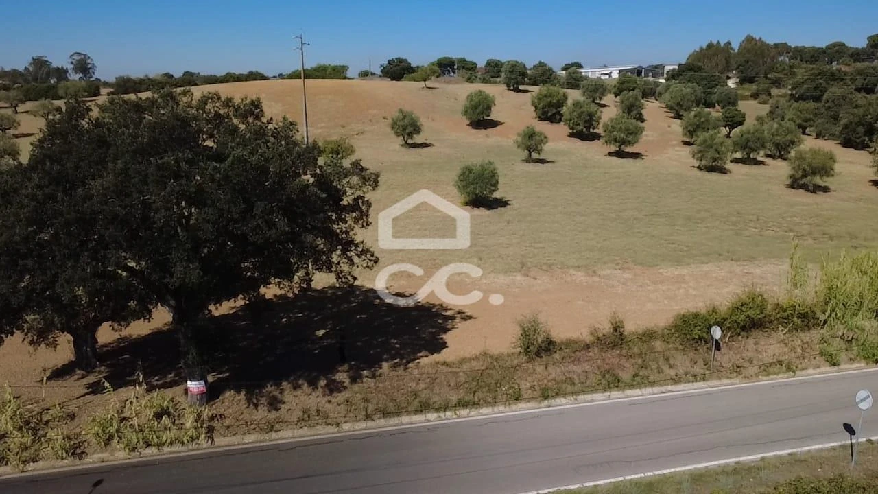 Terreno para Venda em Torres Novas (Santa Maria, Salvador e Santiago) Foto 44