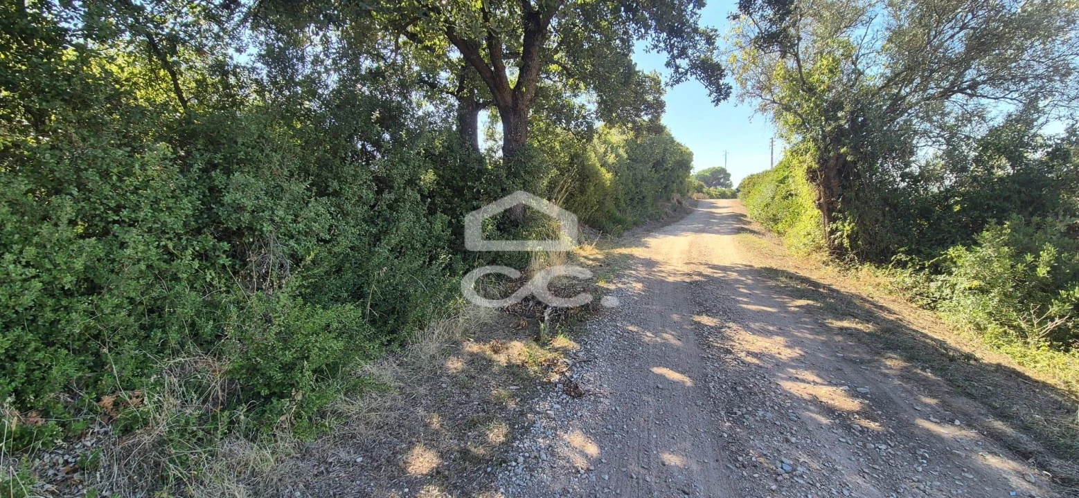 Terreno para Venda em Torres Novas (Santa Maria, Salvador e Santiago) Foto 9