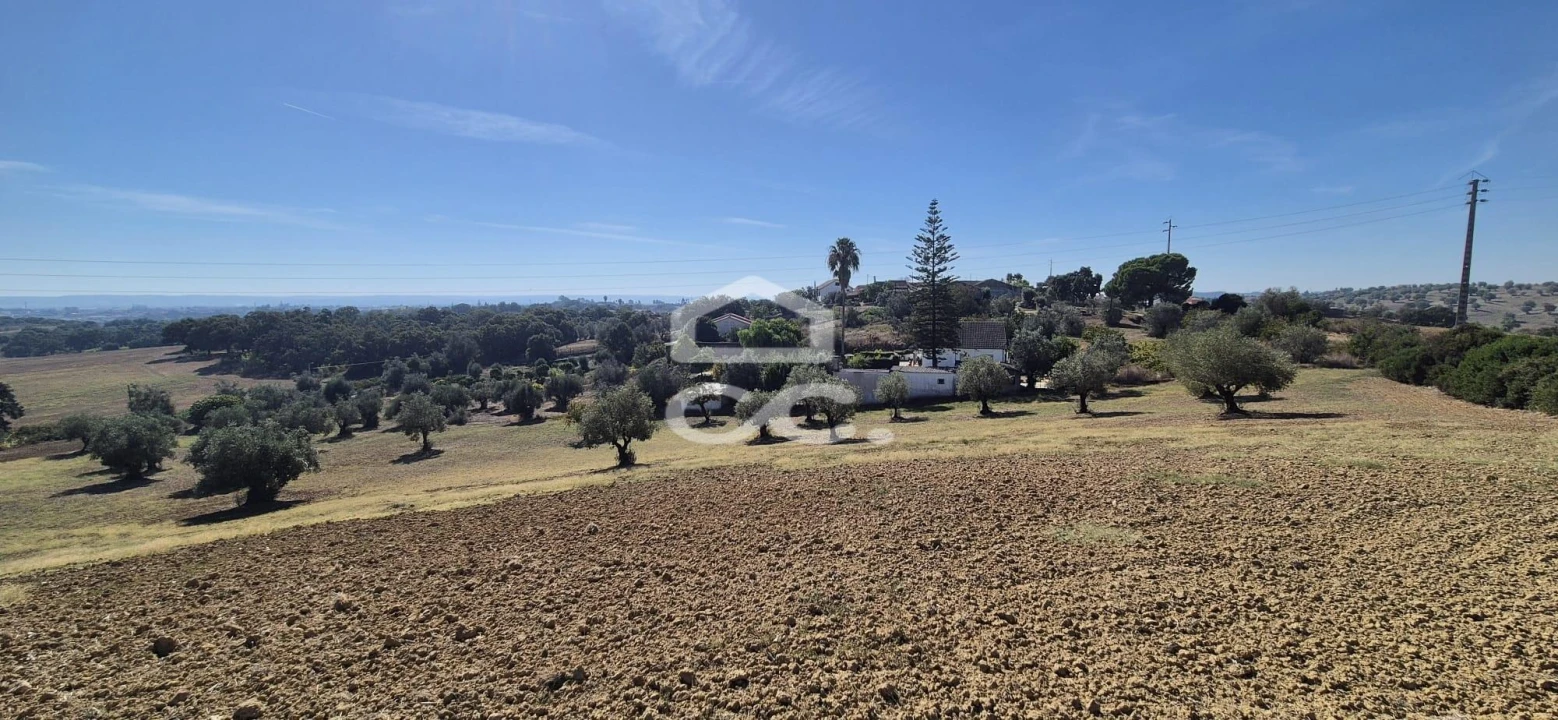 Terreno para Venda em Torres Novas (Santa Maria, Salvador e Santiago) Foto 20