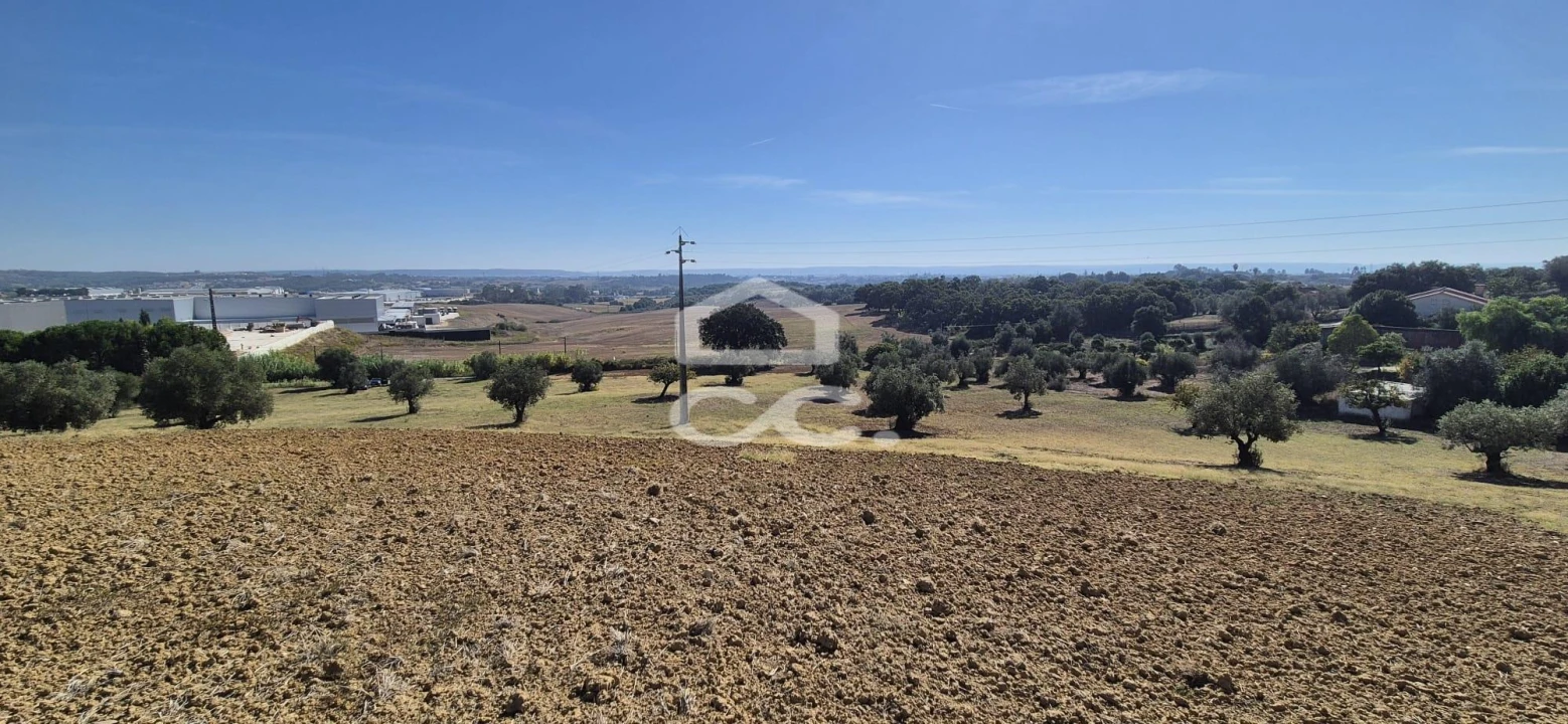 Terreno para Venda em Torres Novas (Santa Maria, Salvador e Santiago) Foto 15