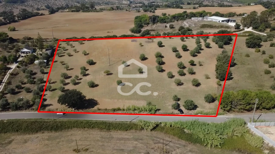 Terreno para Venda em Torres Novas (Santa Maria, Salvador e Santiago)