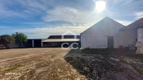 Quinta T5 para Venda em Brogueira, Parceiros de Igreja e Alcorochel