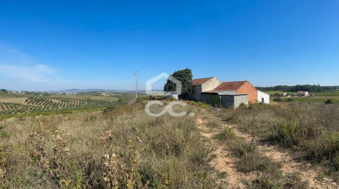 Quinta T5 para Venda em Brogueira, Parceiros de Igreja e Alcorochel