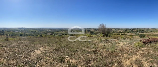 Quinta T5 para Venda em Brogueira, Parceiros de Igreja e Alcorochel