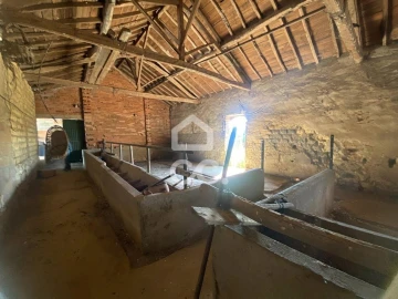 Quinta T5 para Venda em Brogueira, Parceiros de Igreja e Alcorochel