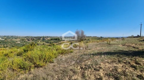 Quinta T5 para Venda em Brogueira, Parceiros de Igreja e Alcorochel