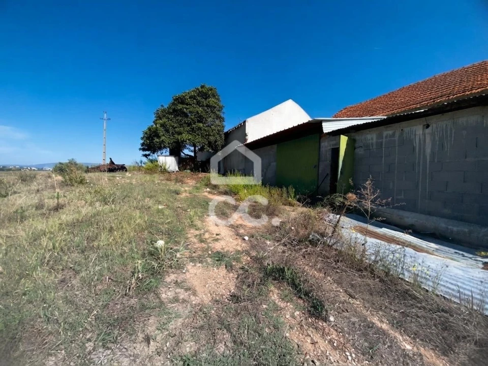 Quinta T5 para Venda em Brogueira, Parceiros de Igreja e Alcorochel Foto 55
