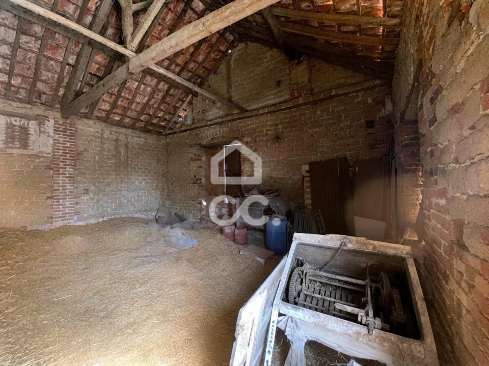 Quinta T5 para Venda em Brogueira, Parceiros de Igreja e Alcorochel Foto 40