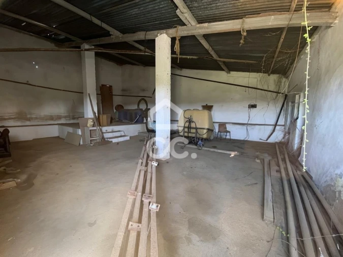 Quinta T5 para Venda em Brogueira, Parceiros de Igreja e Alcorochel Foto 48