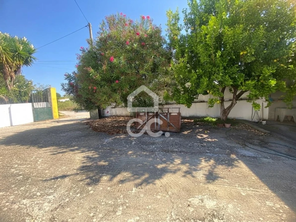 Quinta T5 para Venda em Brogueira, Parceiros de Igreja e Alcorochel Foto 2