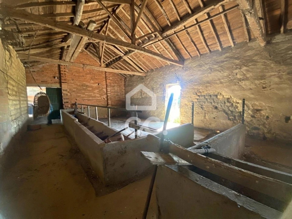 Quinta T5 para Venda em Brogueira, Parceiros de Igreja e Alcorochel Foto 38
