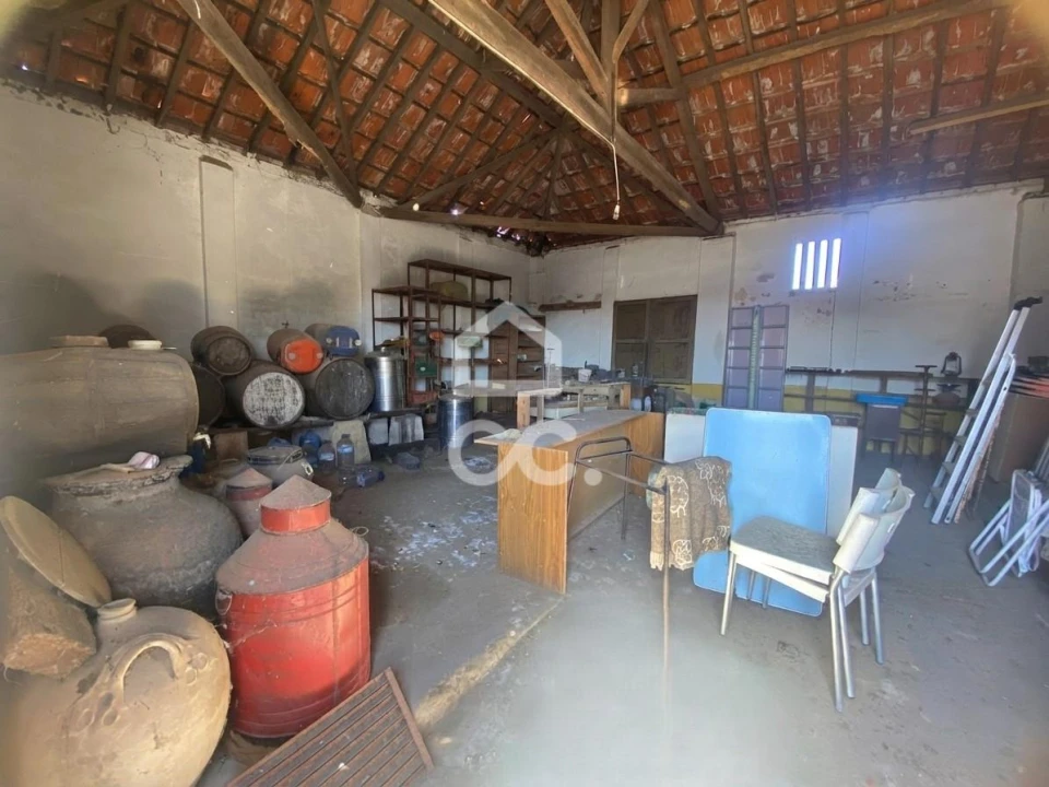 Quinta T5 para Venda em Brogueira, Parceiros de Igreja e Alcorochel Foto 33