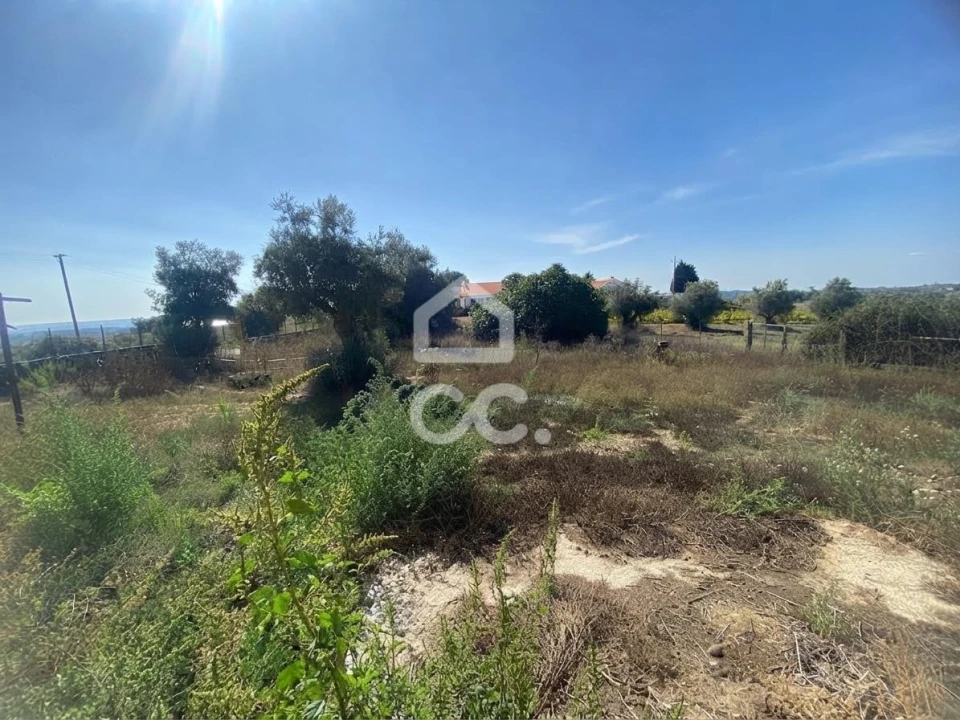 Quinta T5 para Venda em Brogueira, Parceiros de Igreja e Alcorochel Foto 56