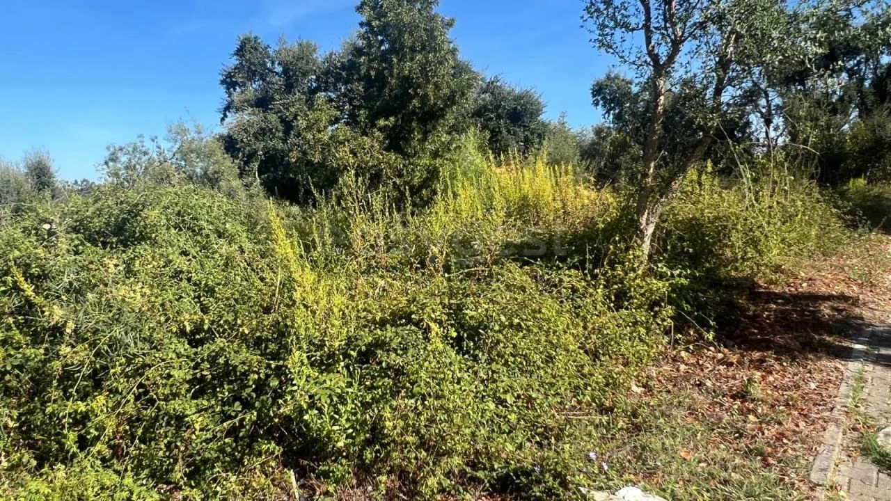Terreno para Venda em Leiria, Pousos, Barreira e Cortes Foto 4