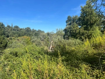 Terreno para Venda em Leiria, Pousos, Barreira e Cortes