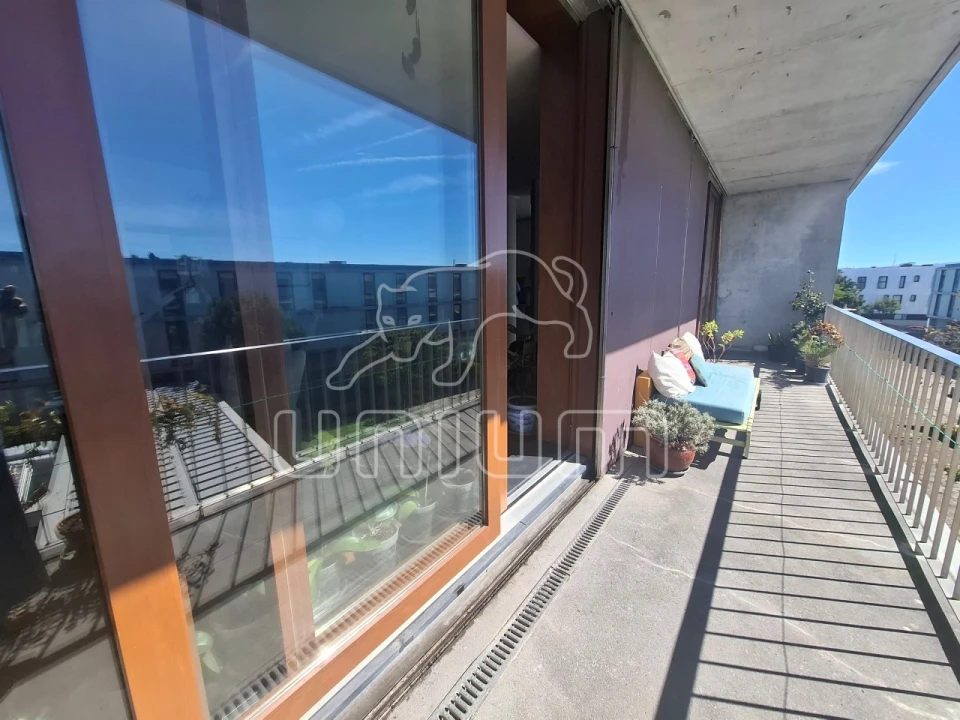 Apartamento T2 para Venda em Santa Maria Maior e Monserrate e Meadela Foto 19
