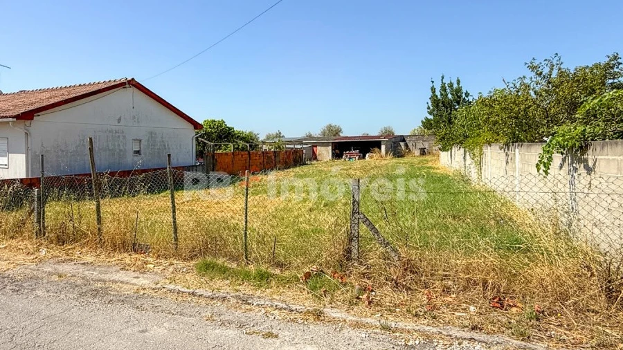 Terreno para Venda em Riachos