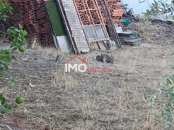 Moradia T3 para Venda em Alpalhão