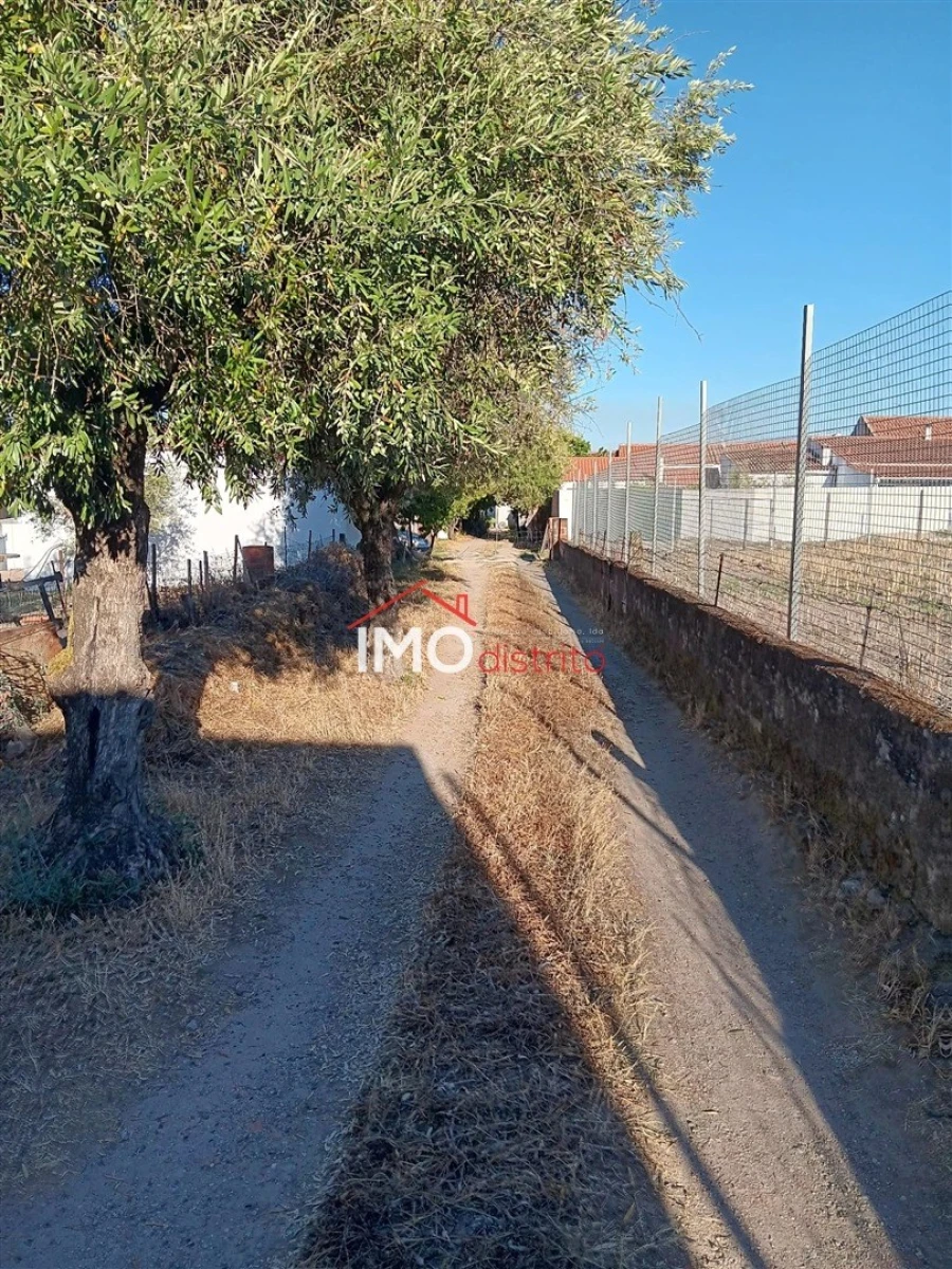 Moradia T3 para Venda em Alpalhão Foto 11