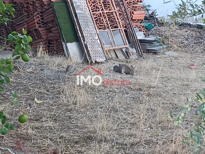 Moradia T3 para Venda em Alpalhão Foto 8