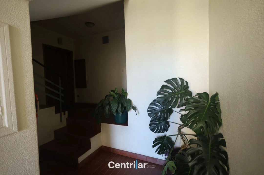 Apartamento T3 para Venda em Mangualde, Mesquitela e Cunha Alta Foto 17
