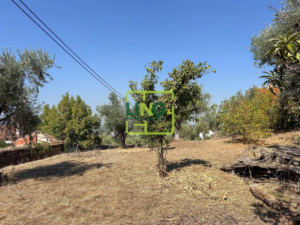 Quinta T6 para Venda em Castelo Branco Foto 33