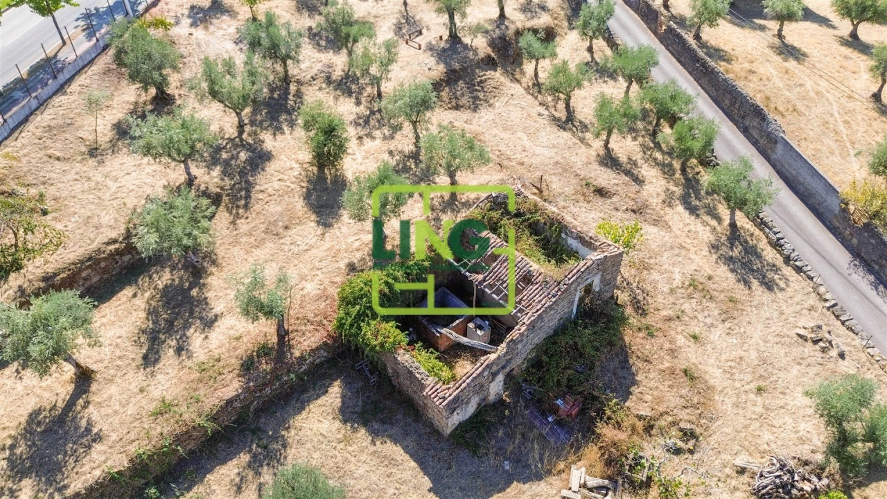 Quinta T6 para Venda em Castelo Branco Foto 11