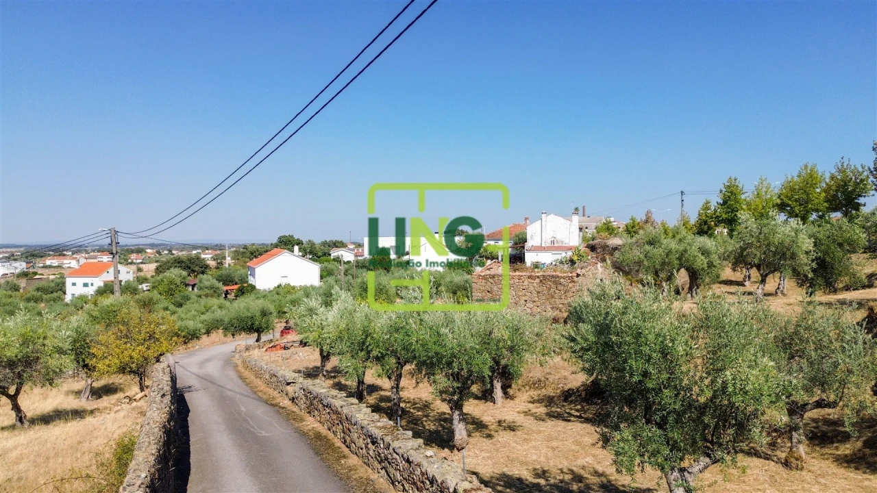 Quinta T6 para Venda em Castelo Branco Foto 7