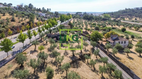 Quinta T6 para Venda em Castelo Branco