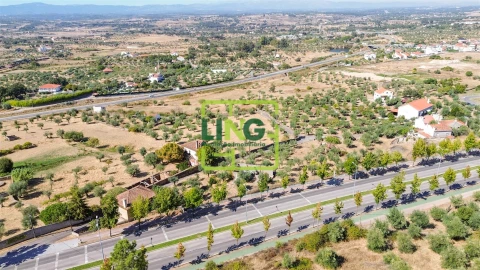 Quinta T6 para Venda em Castelo Branco