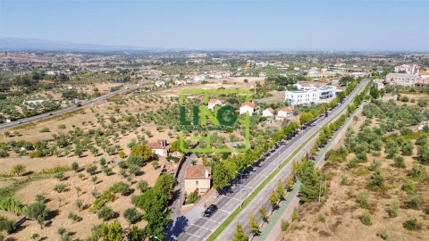 Quinta T6 para Venda em Castelo Branco