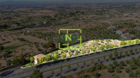 Quinta T6 para Venda em Castelo Branco