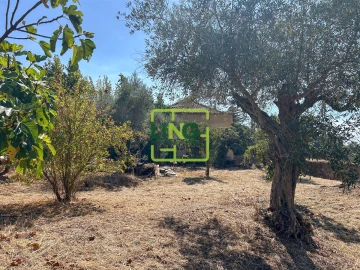 Quinta T6 para Venda em Castelo Branco