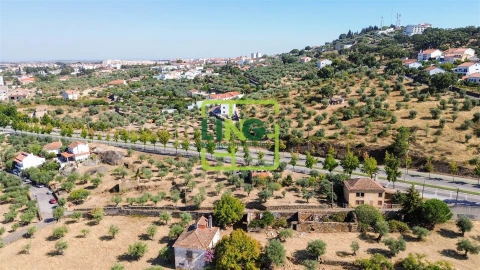 Quinta T6 para Venda em Castelo Branco