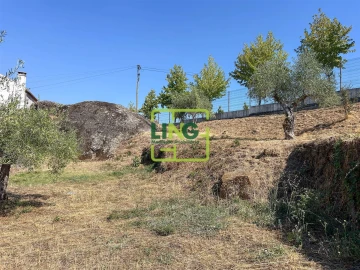 Quinta T6 para Venda em Castelo Branco