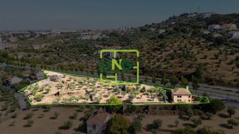 Quinta T6 para Venda em Castelo Branco