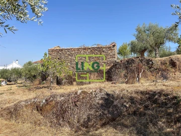 Quinta T6 para Venda em Castelo Branco