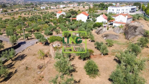 Quinta T6 para Venda em Castelo Branco